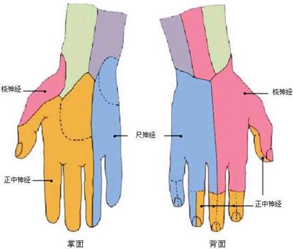 ˵
