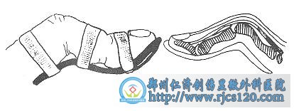 쾱ָ